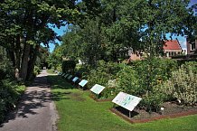 Ботанический сад в Лейдене