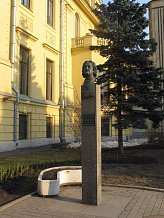 Памятник Петру I на Большой Монетной улице (С-Петербург)