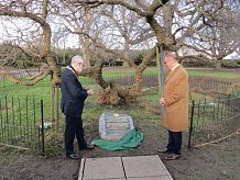 Дерево Петра I и памятный знак у этого дерева Петра I (Sayes Court memorial)